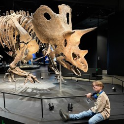 Музей динозавров, Прага